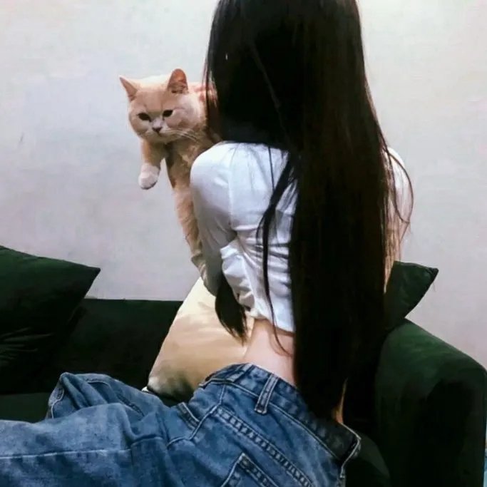 科比上场
